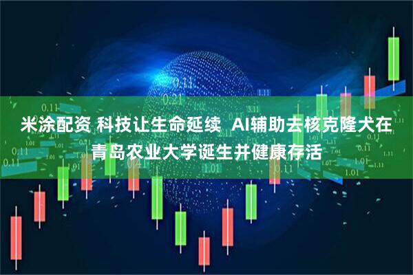 米涂配资 科技让生命延续  AI辅助去核克隆犬在青岛农业大学诞生并健康存活