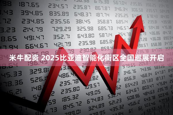 米牛配资 2025比亚迪智能化街区全国巡展开启