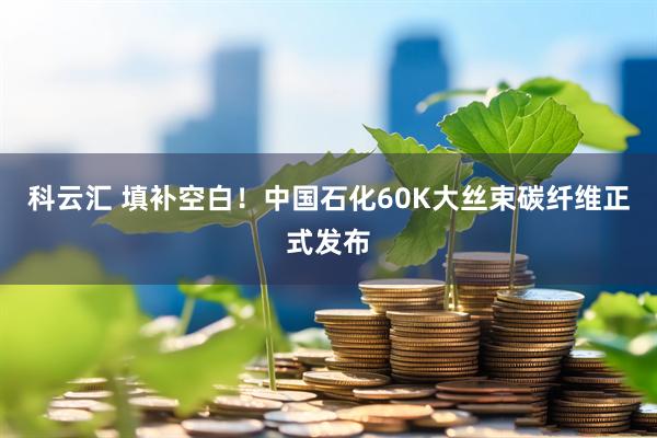 科云汇 填补空白！中国石化60K大丝束碳纤维正式发布