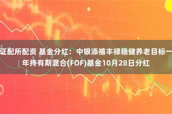 证配所配资 基金分红:中银添禧丰禄稳健养老目标一年持有期混合(FOF)基金10月28日分红