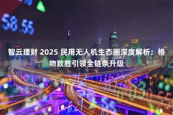 智云理财 2025 民用无人机生态圈深度解析:格物致胜引领全链条升级