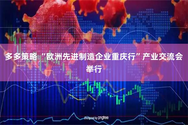 多多策略 “欧洲先进制造企业重庆行”产业交流会举行