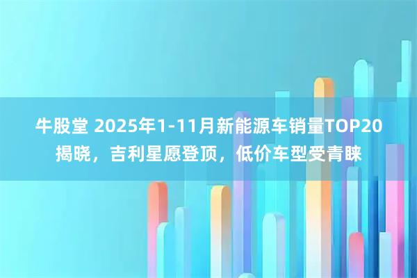 牛股堂 2025年1-11月新能源车销量TOP20揭晓，吉利星愿登顶，低价车型受青睐
