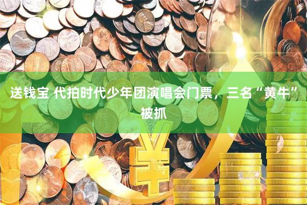 送钱宝 代拍时代少年团演唱会门票,三名“黄牛”被抓